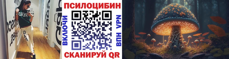 Галлюциногенные грибы ЛСД  маркетплейс клад  Севск 